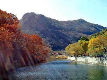 澳门二四六天天彩图库，都市神医小说